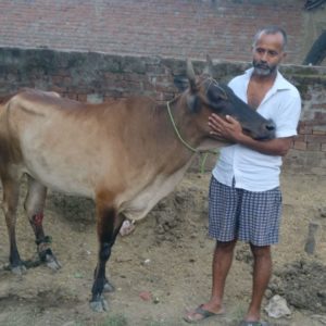 Razor Wire Injury 2 300x300