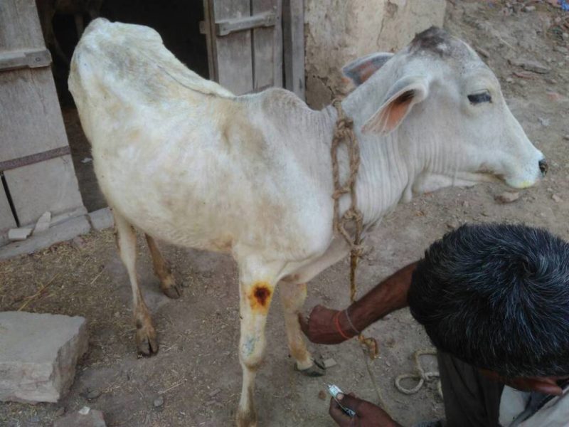 Image4 E1514368512325