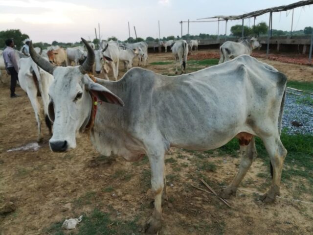 Maliti 1024x768 640x480